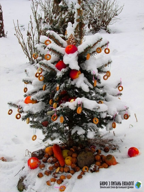 Оголошено результати фотоконкурсу «Різдвяне дерево крізь об’єктив віри» 2018-2019