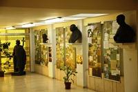 В Італії проходить виставка присвячена  20-літтю виходу УГКЦ з підпілля