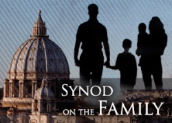 Глава УГКЦ закликав у Римі відроджувати служіння духівників родин