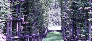 В Італії завершується будівництво собору з живих дерев.(ВІДЕО)