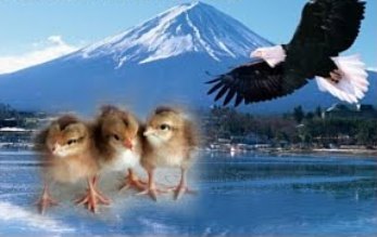 Орли і кури